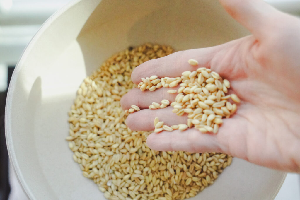 Pouring wheat berries into grain mill hopper