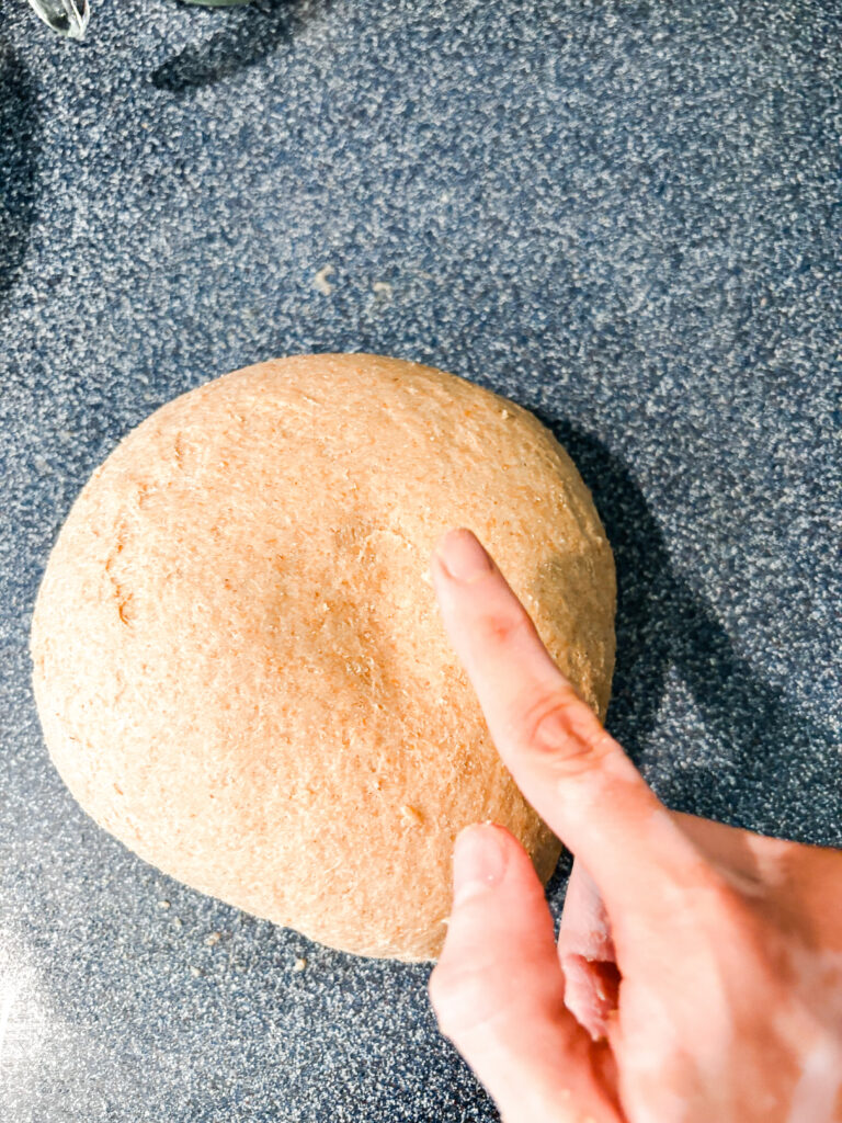 honey wheat bread dough kneaded