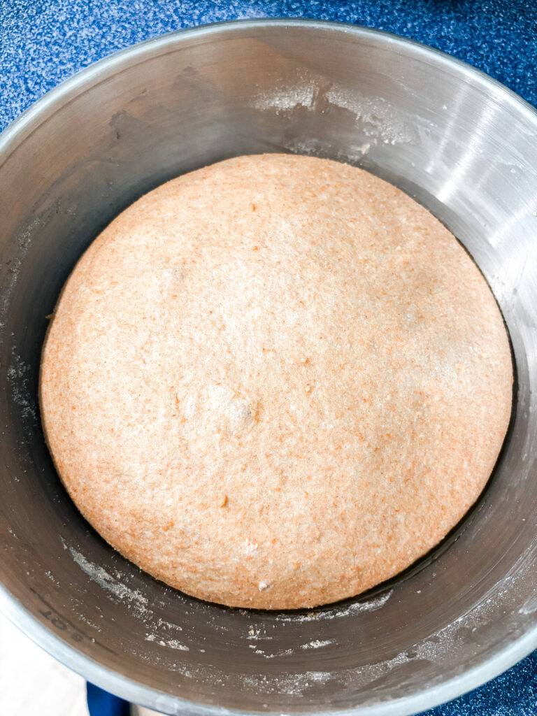 honey wheat bread dough rising