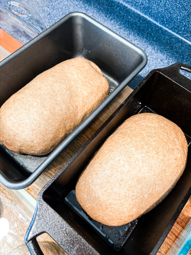 two loaves of honey wheat bread before baking